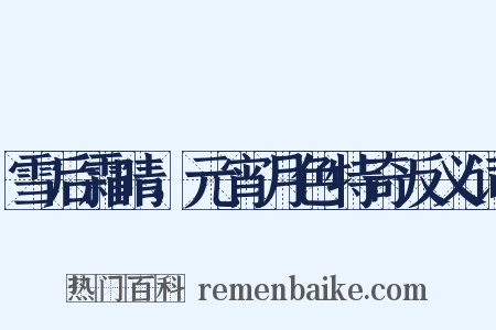 雪后霜晴，元宵月色特奇反义词是什么意思的图片